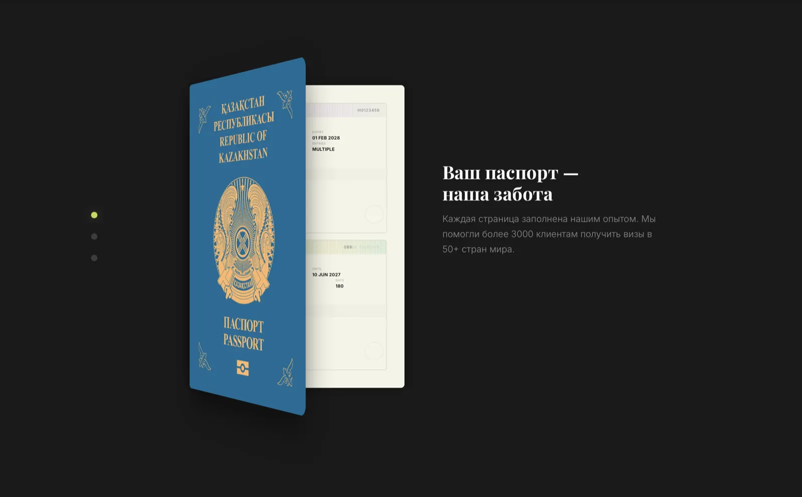 PositiVisa — экран 2